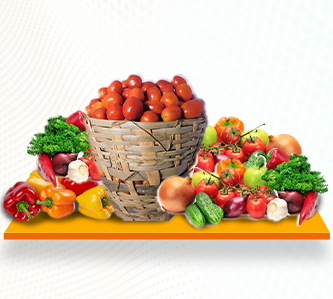 Fatotec limited promo